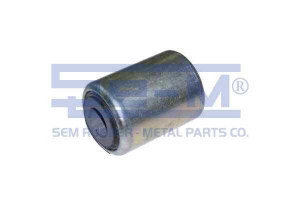 Bushing, leaf spring